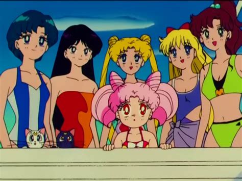 Long Live Yang : Photo | Sailor moon usagi, Sailor moon episodes, Sailor