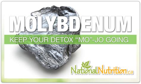 Molybdenum Supplements: Essential Mineral for Detoxification and Enzyme ...