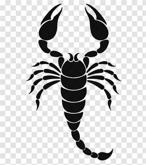 Scorpion Zodiac Astrological Sign Symbol - Scorpio - Scorpions ...