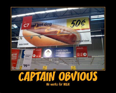 [Image - 167588] | Captain Obvious | Know Your Meme