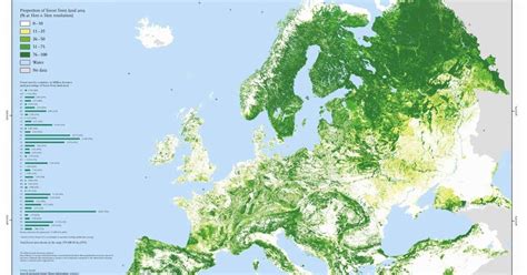 Forest map of Europe