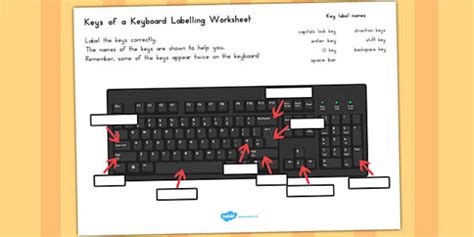 Keys Of A Keyboard Labelling Worksheet (teacher made)