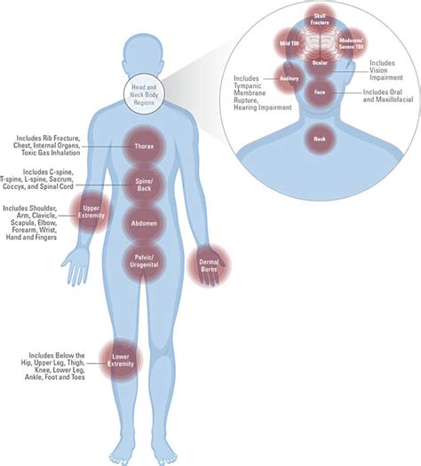 Blast Injury Research Coordinating Office (BIRCO) - BIPSR Process Implementation