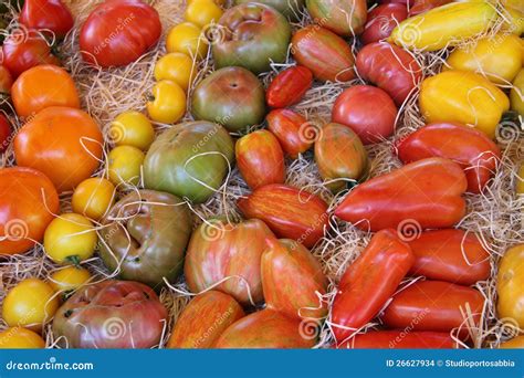 Tomatoes in Various Colors and Shapes Stock Photo - Image of green ...