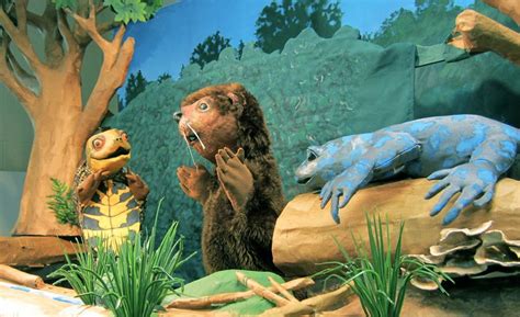 Nature and Animal Stories at Puppet Showplace! — Puppet Showplace Theater