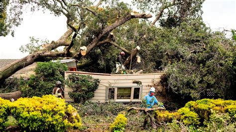 California weather live updates: Man killed by falling redwood tree in ...