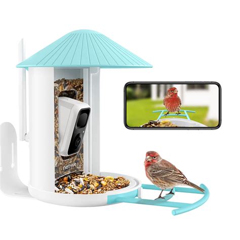 NETVUE Birdfy Lite- Smart Bird Feeder Camera, Bird Watching Camera Auto Capture Bird Videos ...