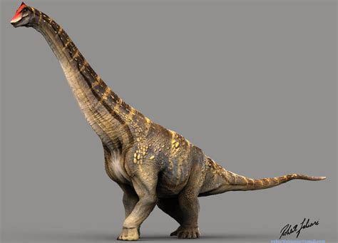 Alamosaurus by robertfabiani on DeviantArt