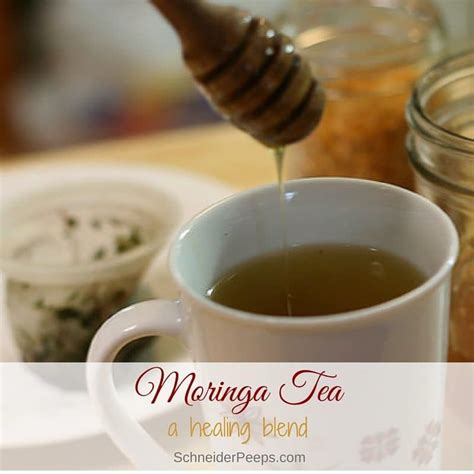 Moringa Tea {a simple and frugal healing tea} | SchneiderPeeps | Recipe ...