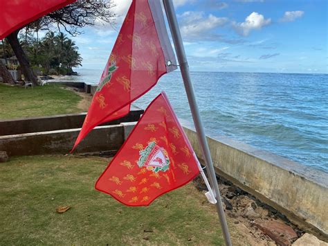 Liverpool football club Flag | Etsy