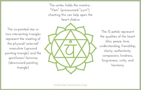 heart-chakra-symbol - Forever Conscious