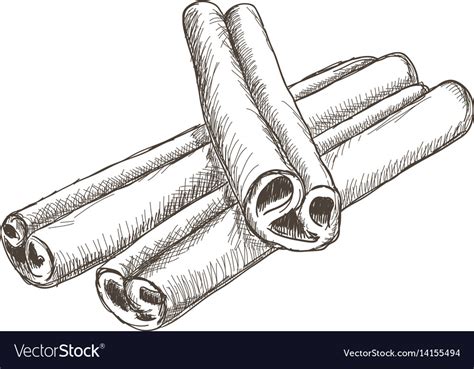 Cinnamon sticks hand drawn sketch Royalty Free Vector Image