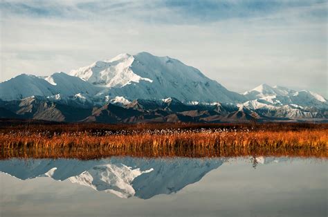 A Century of Denali National Park - Uncommon Path – An REI Co-op ...