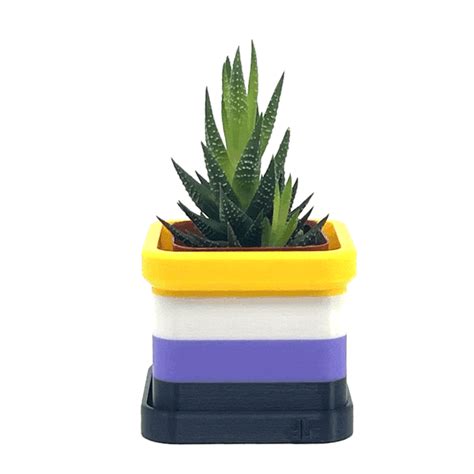 Non-Binary Pride Flag 2 Inch Planter with Drip Tray – Daftboy