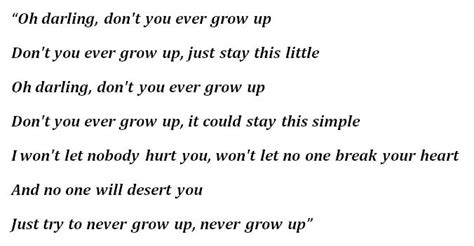 "Never Grow Up" by Taylor Swift - Song Meanings and Facts