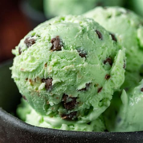 Mint Chocolate Chip Ice Cream - Gimme That Flavor