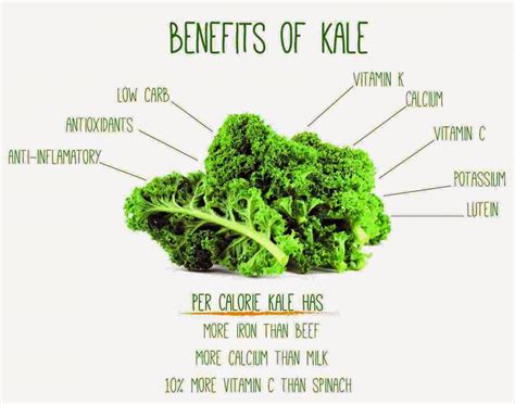 10 Health Benefits of Kale - InformationPeg.com