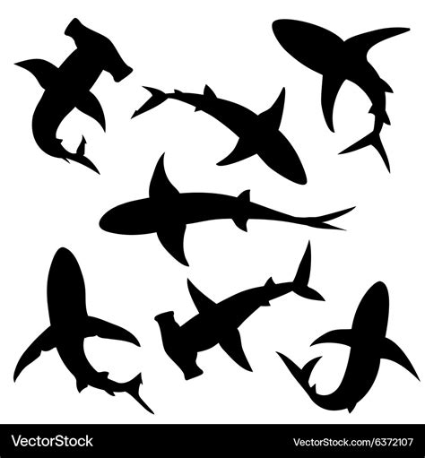 Shark silhouettes Royalty Free Vector Image - VectorStock