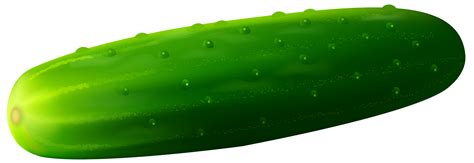 Cucumber clipart - Clipground