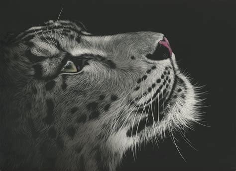 #811618 4K, Big cats, Leopards, Black background - Rare Gallery HD ...