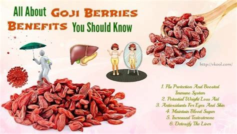 All About Goji Berries Benefits You Should Know