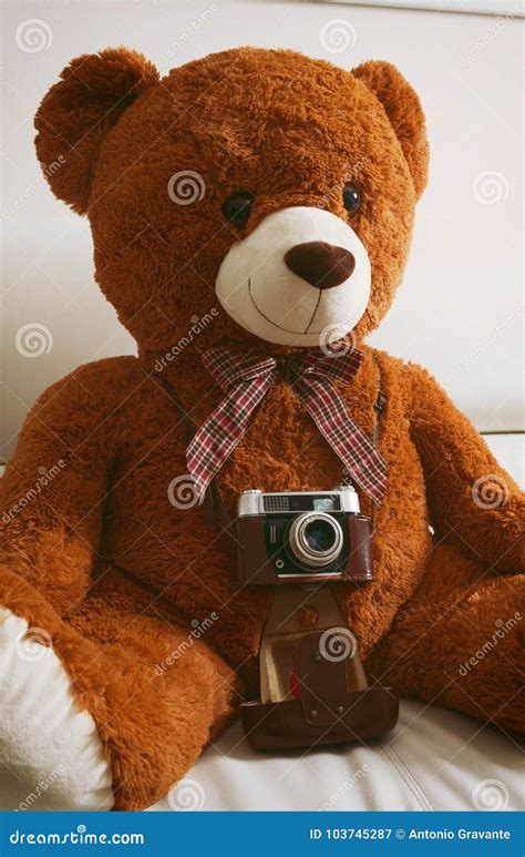 Teddy Bear with Vintage 35mm Camera Stock Image - Image of nostalgia, object: 103745287