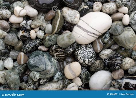 Black and white pebbles. stock image. Image of decoration - 4606891