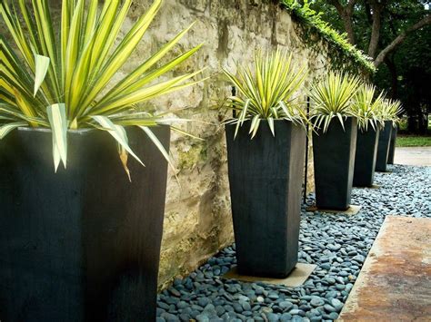 tall fern planters landscape contemporary with resistant outdoor flower pots | Outdoor planter ...