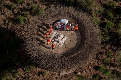 This giant bird's nest is actually a VERY luxurious safari lodge where guests can dine under the ...