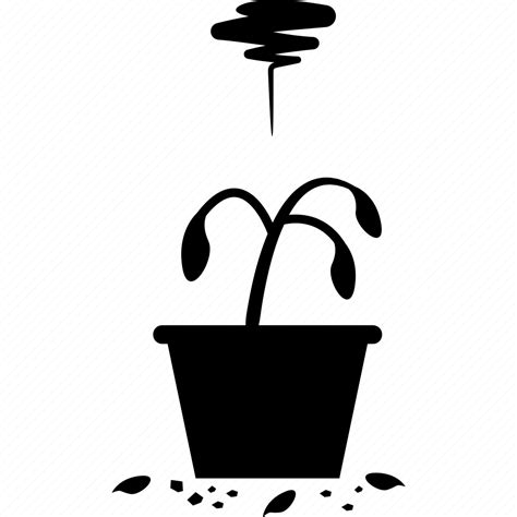 Dead, dry, flower, plant, pot, vase icon - Download on Iconfinder