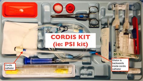 Cordis Placement POD — Maimonides Emergency Medicine Residency