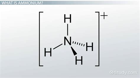 Ammonium | Formula, Symbol & Structure - Lesson | Study.com