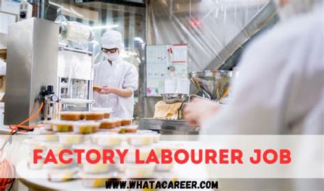 Factory Labourer Job in Cann-Amm Exports Inc - Whatacareer