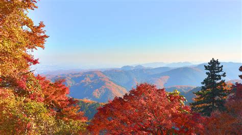 Japan Travelogue Series: Discovering Mount Takao | KCP International