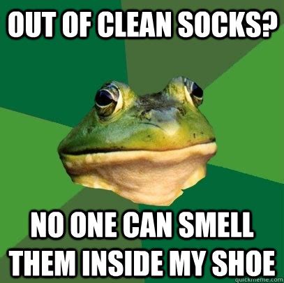 out of clean socks? no one can smell them inside my shoe - Foul Bachelor Frog - quickmeme