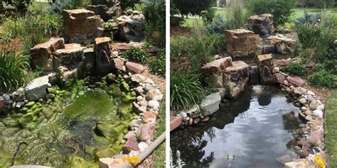 Pond Cleanout - Before and After | Colorado Pond Pros