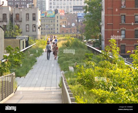 High Line Park garden Stock Photo - Alamy