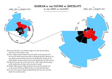 Did Nightingale’s ‘Rose Diagram’ save millions of lives?