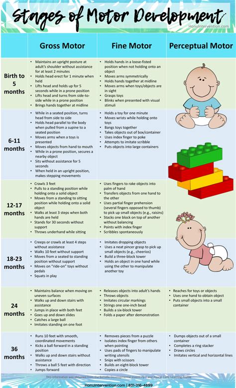 Stages of Motor Development