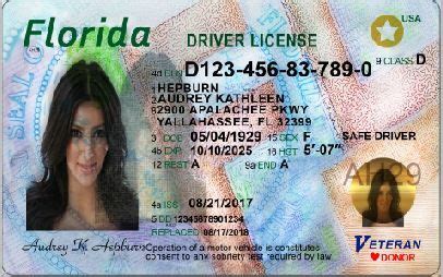 florida drivers license template psd free download - illustrationartdrawingsketchesblack