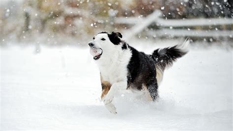 Wild weather in southern Alberta | CTV News