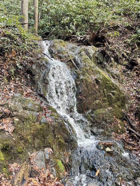 Short Hiking Trails In Gatlinburg, TN