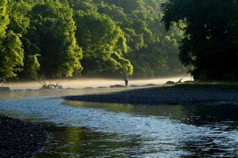 Lower Illinois River a prime fishing spot | Trout fishing, Illinois river, Trout