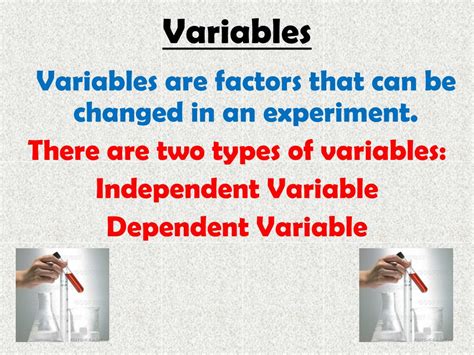 PPT - Scientific Method and Experiment Information PowerPoint Presentation - ID:1757093