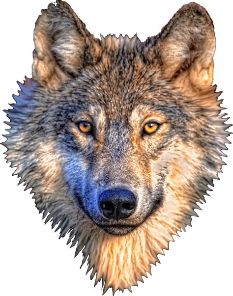 Clipart - Wolf Head