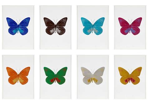 Damien hirst butterfly, Hirst, Damien hirst