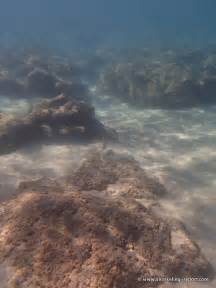 Snorkeling Tunnels Beach | Kauai | Hawaii