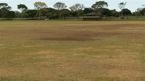 Waipio Soccer Complex to undergo project to improve field