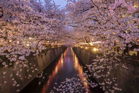 The Best of Culture in Tokyo, Japan