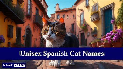 Spanish Cat Names: 325 Exotic Names For Your Fabulous Cat